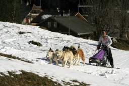Kandersteg 2008