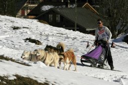 Kandersteg 2008