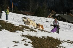 Kandersteg 2008