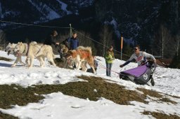 Kandersteg 2008