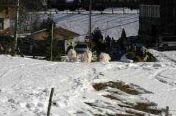 Kandersteg 2008