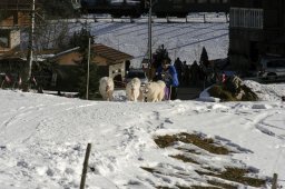 Kandersteg 2008