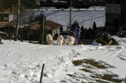 Kandersteg 2008