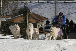 Kandersteg 2008