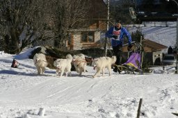 Kandersteg 2008