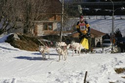Kandersteg 2008