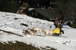 Kandersteg 2008