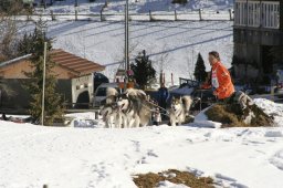 Kandersteg 2008