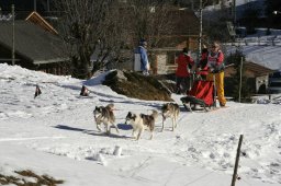 Kandersteg 2008