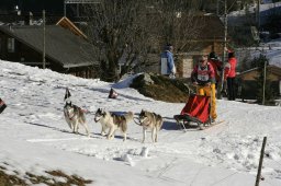 Kandersteg 2008