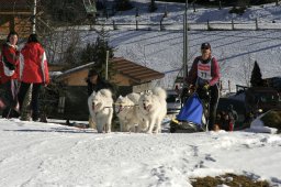 Kandersteg 2008