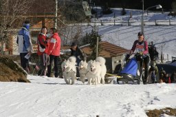 Kandersteg 2008