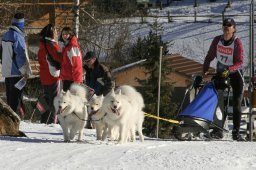 Kandersteg 2008