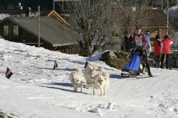 Kandersteg 2008