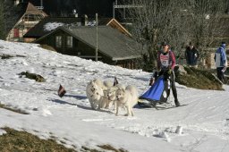 Kandersteg 2008