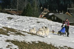 Kandersteg 2008