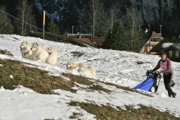 Kandersteg 2008