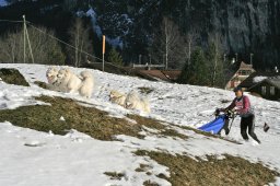 Kandersteg 2008