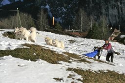Kandersteg 2008