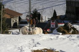 Kandersteg 2008