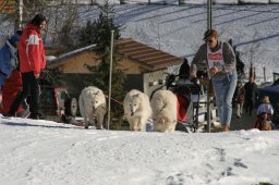 Kandersteg 2008