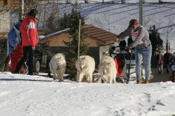 Kandersteg 2008