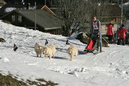 Kandersteg 2008