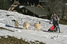 Kandersteg 2008