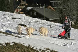 Kandersteg 2008