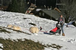 Kandersteg 2008
