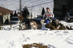 Kandersteg 2008
