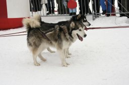 Lenzerheide 2008