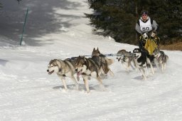 Lenzerheide 2008