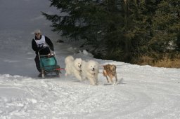 Lenzerheide 2008