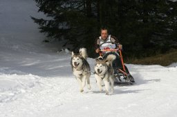 Lenzerheide 2008