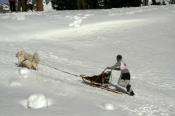 Lenzerheide 2008