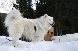 Lenzerheide 2008