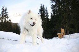Lenzerheide 2008