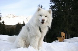 Lenzerheide 2008