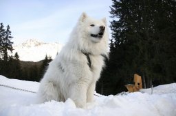 Lenzerheide 2008