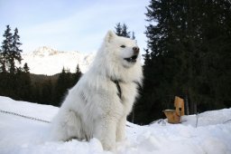 Lenzerheide 2008