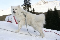 Lenzerheide 2008