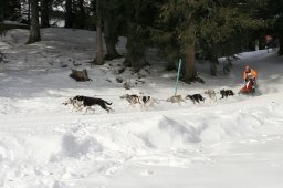 Lenzerheide 2008