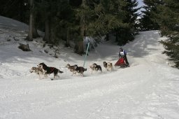 Lenzerheide 2008