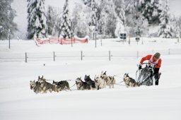 2008_Spluegen