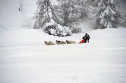 2008_Spluegen