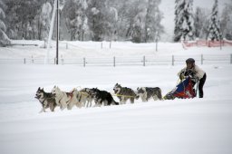 2008_Spluegen