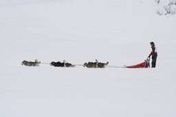 2008_Spluegen