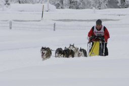 2008_Spluegen