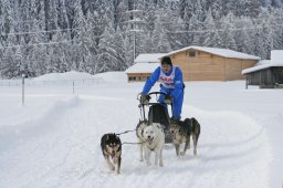 2008_Spluegen